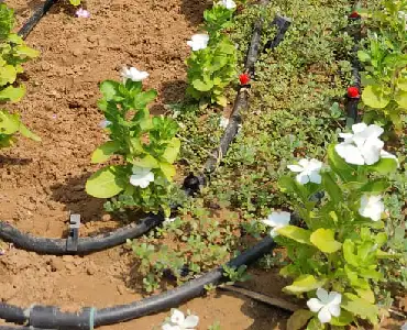 Irrigation Systems