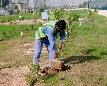 Green Ladder Technical Services LLC